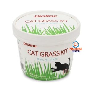 Bioline Cat Grass Kit 12g